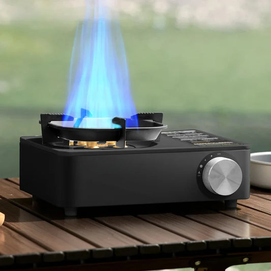 Gas Stove
